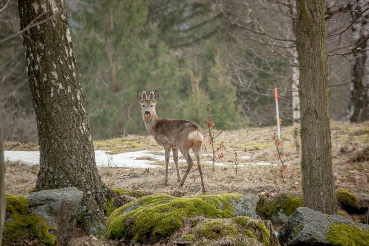 Siodme Niebo Homestay Szklarska Poreba
